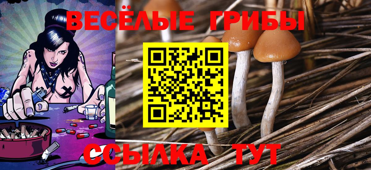 Псилоцибиновые грибы MAGIC MUSHROOMS  Вход с VPN  Галлюциногенные грибы мухоморы  Будённовск 