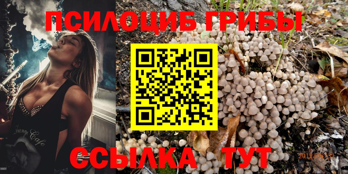 Галлюциногенные грибы прущие грибы Будённовск